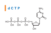 DMT-dA(Bz)-CE亚磷酰胺单体