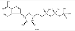 DMT-dT-CE亚磷酰胺单体