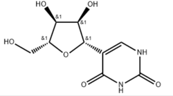 腺苷-5'-三磷酸