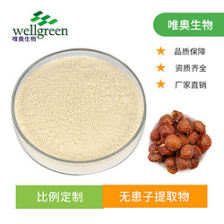 无患子提取物 果皮粉 无患子皂甙80% 支持拿样 源头工厂