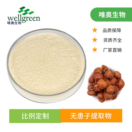 无患子提取物 果皮粉 无患子皂甙80% 支持拿样 源头工厂
