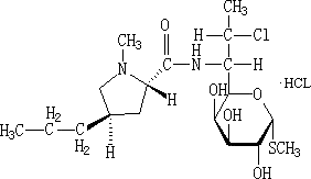盐酸克林霉素