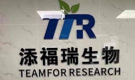 4-羧基异噻唑