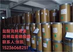 CLINDAMYCIN PHOSPHATE