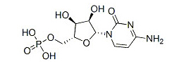 5’单磷酸胞苷