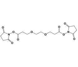 雙琥珀酰亞胺酯-PEG2