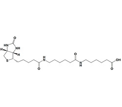 6-((6-((生物素基)氨基)己酰基)氨基)己酸