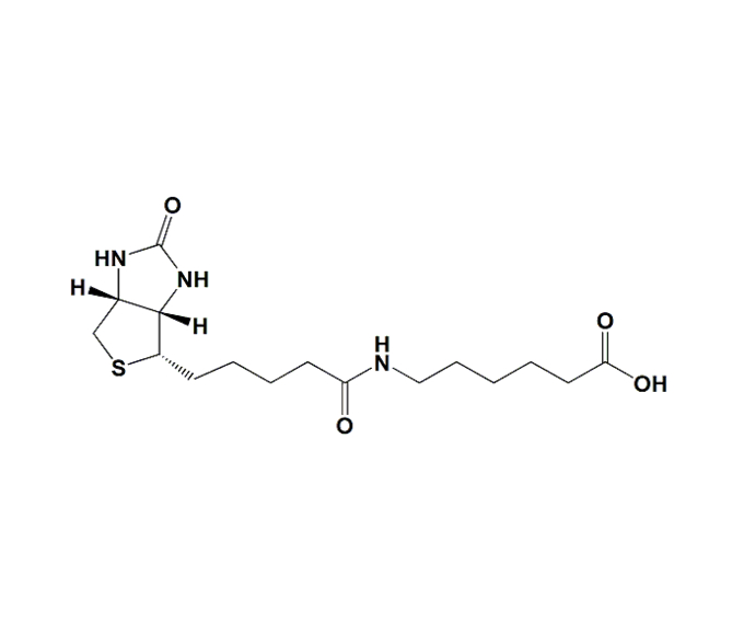 6-生物素氨基己酸