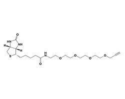 生物素-PEG4-丙炔