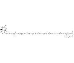 生物素-PEG8-琥珀酰亚胺酯