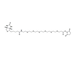 生物素-PEG6-琥珀酰亚胺酯