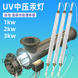 純水生產(chǎn)模塊水凈化系統殺菌器