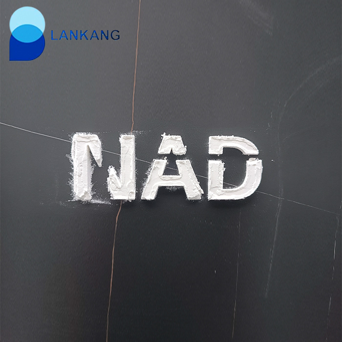輔酶I(NAD) 煙酰胺腺嘌呤二核苷酸