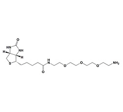 生物素-PEG3-胺