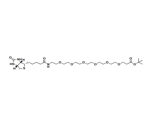生物素-PEG6-丙酸叔丁酯