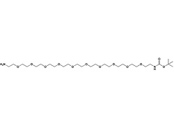 叔丁氧羰基-PEG10-胺