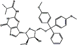 5'-O-DMT-N2-異丁?；?2'-O-甲基鳥(niǎo)苷