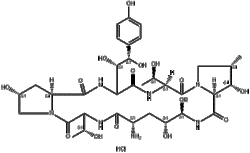 1-[(4R,5R)-4,5-二羟基-L-鸟氨酸]棘白菌素 B 盐酸盐