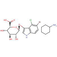 5-溴-4-氯-3-吲哚基-β-d-葡萄苷酸环己氨盐x-gluc