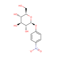 4-硝基苯-Β-D-吡喃葡萄糖苷