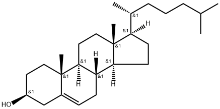 膽固醇