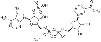 NADP β-烟酰胺腺嘌呤二核苷酸磷酸二钠盐