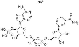 NADP β-煙酰胺腺嘌呤二核苷酸磷酸一鈉鹽