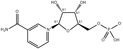 NMN β-烟酰胺单核苷酸
