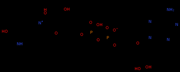 NAD β-煙酰胺腺嘌呤二核苷酸