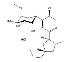 Clindamycin HCl