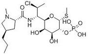 Clindamycin Phosphate