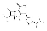 Meropenem