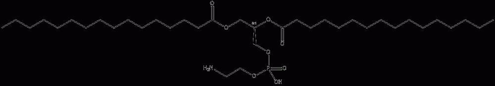 L- 磷脂酰乙醇胺