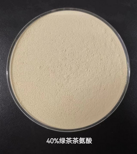 茶氨酸
