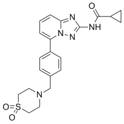 N-[5-[4-[(1,1-二氧代-4-硫代吗啉基)甲基]苯基][1,2,4]三唑并[1,5-A]吡啶-2-基]环丙烷甲酰胺