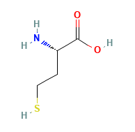 L-高半胱氨酸