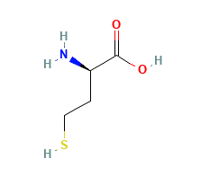 D-Homocysteine