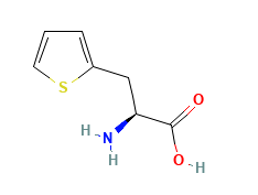 L-2-Thienylalanine