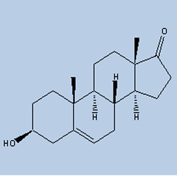 去氢物