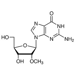 2'-O-Methylguanosine