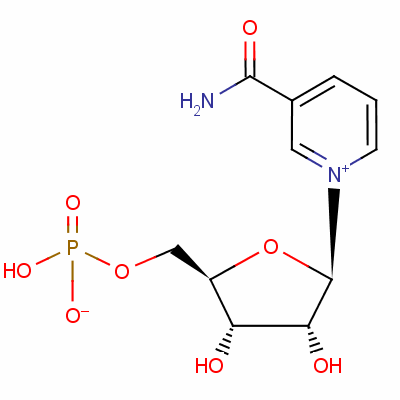 beta -烟酰胺单核苷酸( NMN )