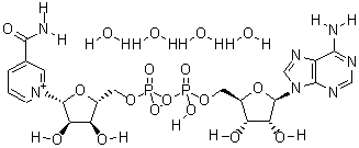 烟酰胺腺嘌呤二核苷酸(NAD)