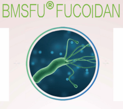 岩藻多糖（Fucoidan）