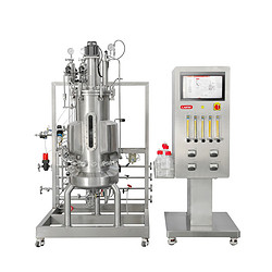 不锈钢生物反应器 Stainless Steel Bioreactor