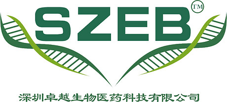 头孢克洛EP杂质B