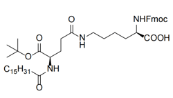 N-芴甲氧羰基-N6-棕櫚酰-谷氨酸-叔丁酯-L-賴氨酸