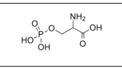 DL-O-磷酸丝氨酸
