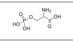DL-O-磷酸絲氨酸