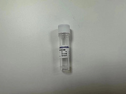 序列分析純羧肽酶B
