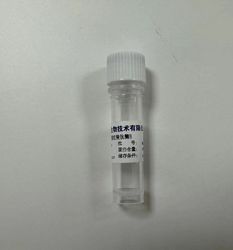 重组羧肽酶B/Carboxypeptidase B